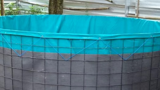 Cara Menentukan Kolam Ikan Lele Sesuai Kebutuhan Budidaya