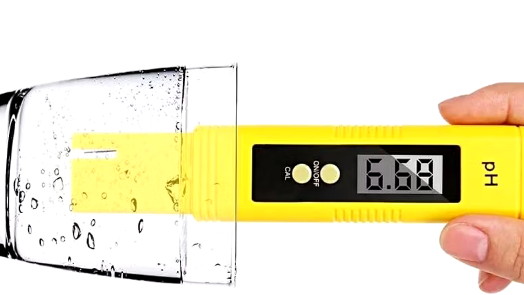 PH Air Kolam Ikan Lele Sesuai Standar Budidaya